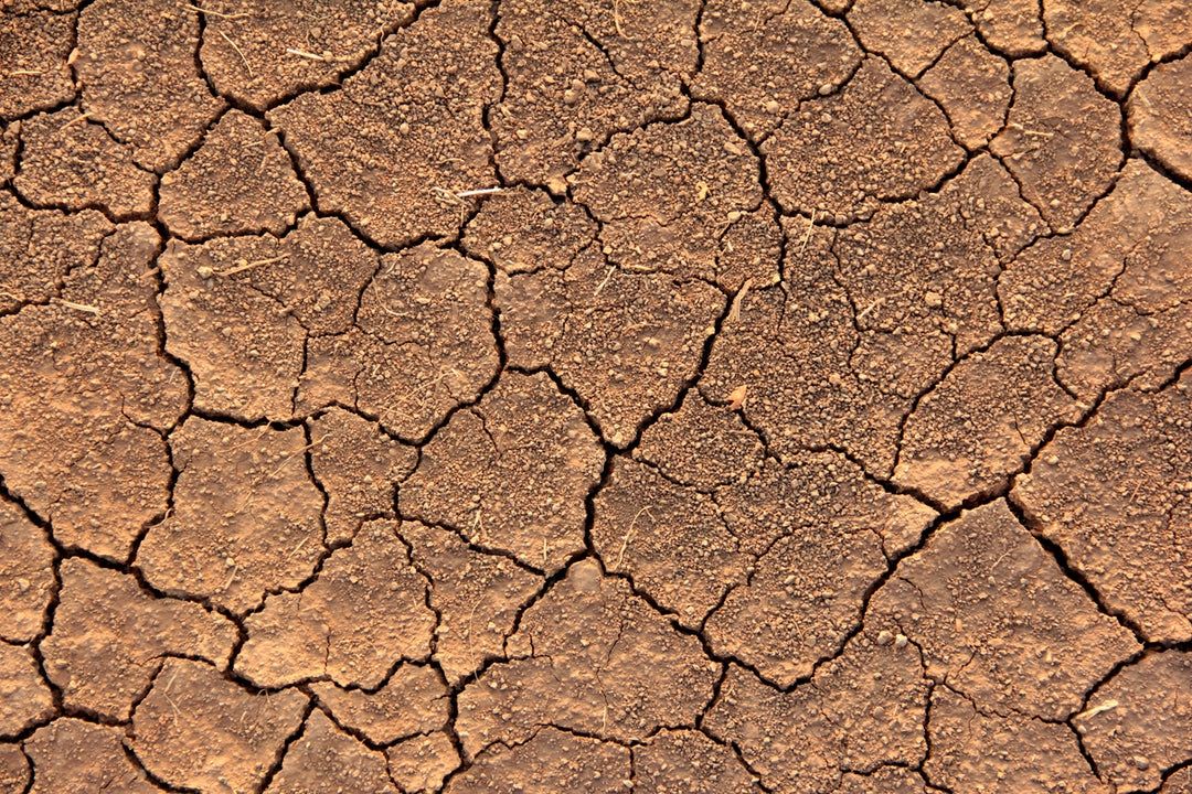 What is TEWL (& Why Water Is a Magical Skincare Ingredient)