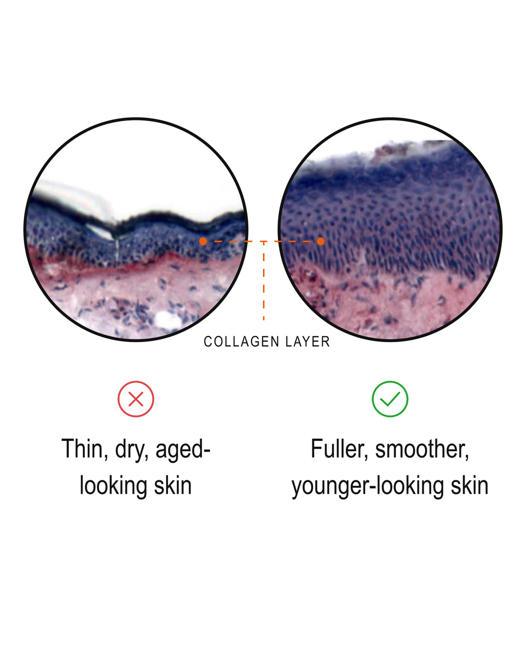 Enzyme-Active Retinol Serum